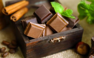 Chocolat Zodio : Découvrez la Gamme Gourmande pour Sublimer vos Pâtisseries