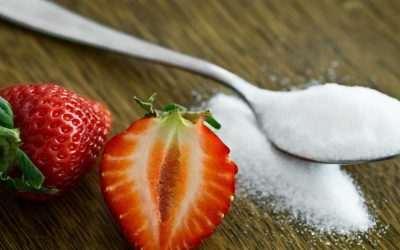 Dessert faible en sucre : quelles alternatives gourmandes pour limiter les calories ?
