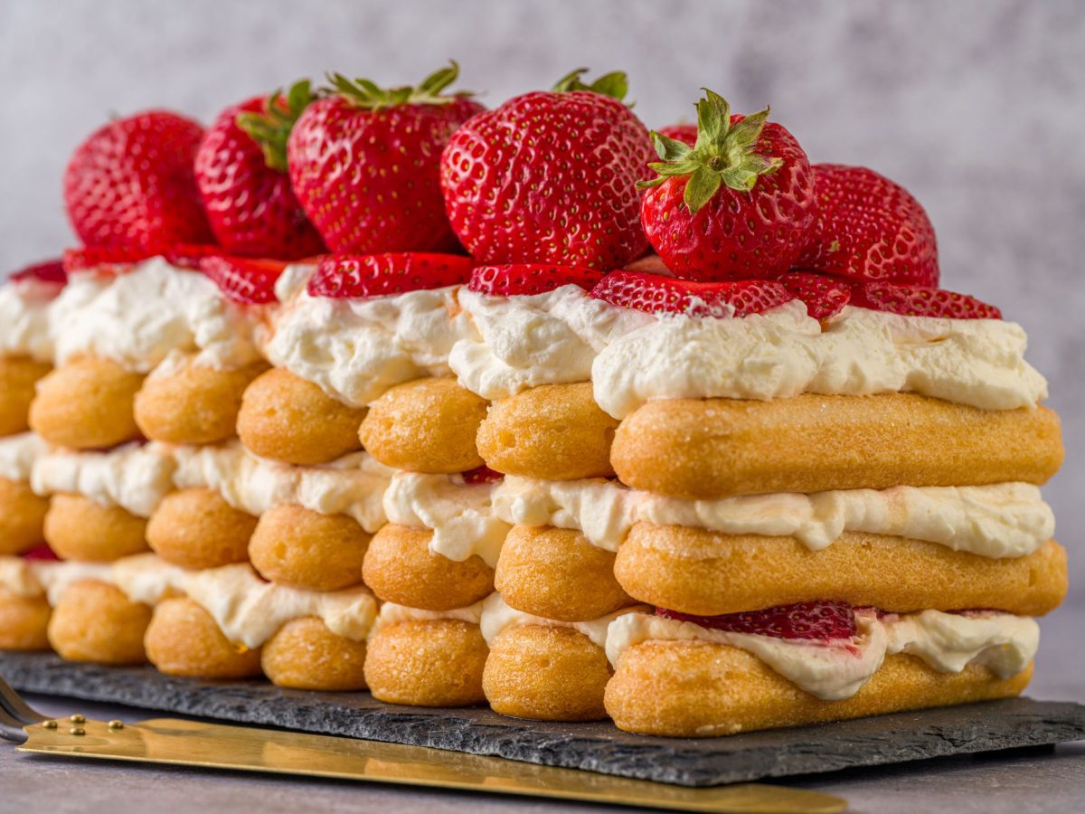 Charlotte aux fraises, boudoirs et creme fouettee, fraises fraiches, sans decoration de Noel