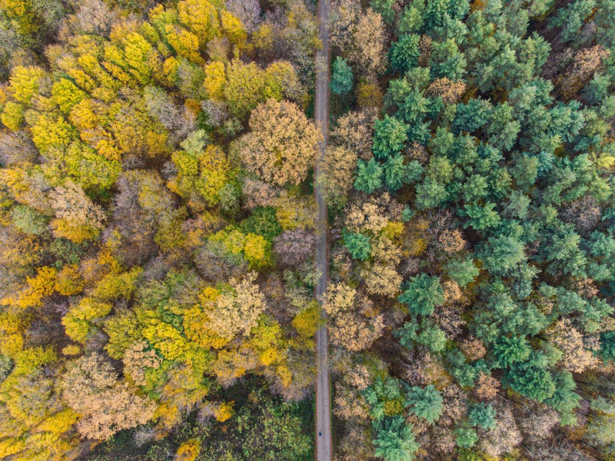 Comment se préparer aux allergies saisonnières dès l’arrivée du printemps
