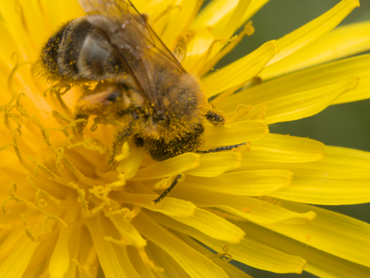 Comment se protéger efficacement contre les allergies saisonnières ?